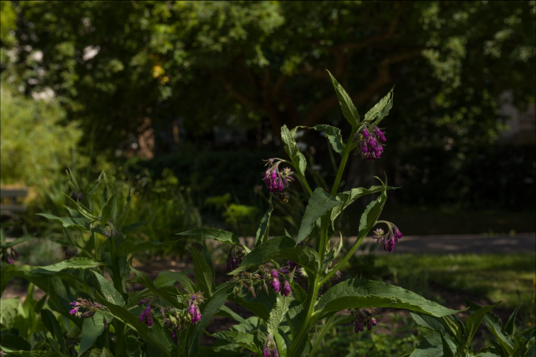 以太坊与NFT的关系：如何将数字艺术与区块链技术结合_以太坊与区块链的关系_以太坊区块数据结构