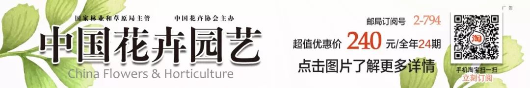 顾客的需求不断变化，胖东来的应对之策_顾客的需求不断变化，胖东来的应对之策_顾客的需求不断变化，胖东来的应对之策
