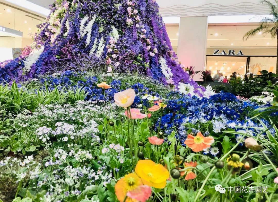 顾客的需求不断变化，胖东来的应对之策_顾客的需求不断变化，胖东来的应对之策_顾客的需求不断变化，胖东来的应对之策