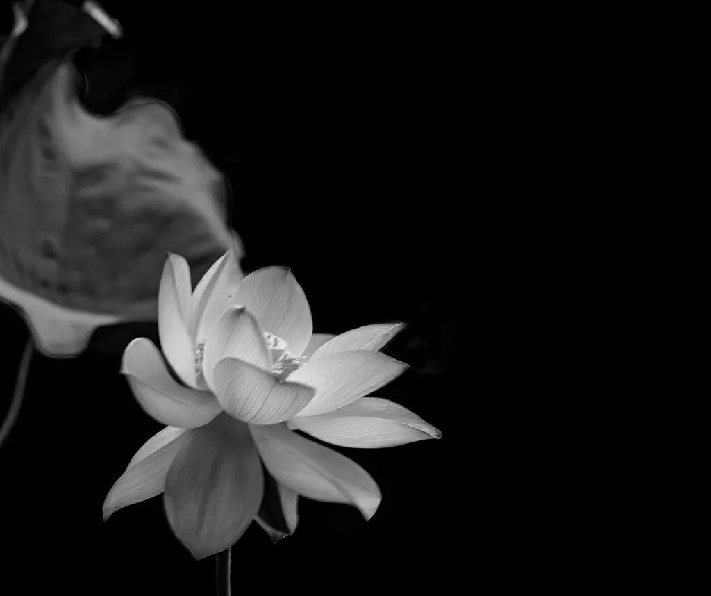 如何通过USDT增强全球经济韧性？_如何通过USDT增强全球经济韧性？_如何通过USDT增强全球经济韧性？