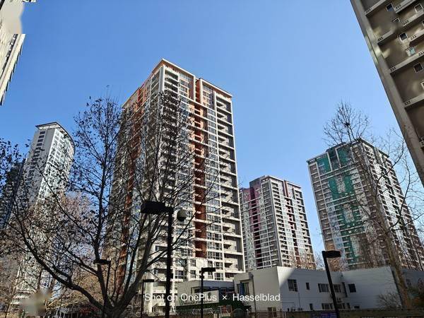 评测一加的摄影效果：从镜头到成像_成像评测效果摄影镜头加到多少_成像评测效果摄影镜头加到哪里