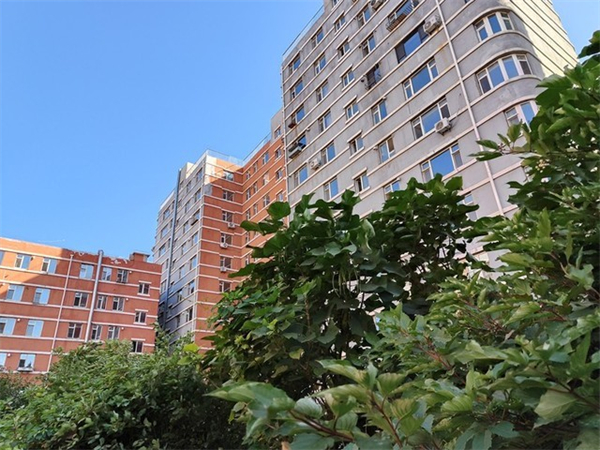 一加Ace Pro拍照体验评测