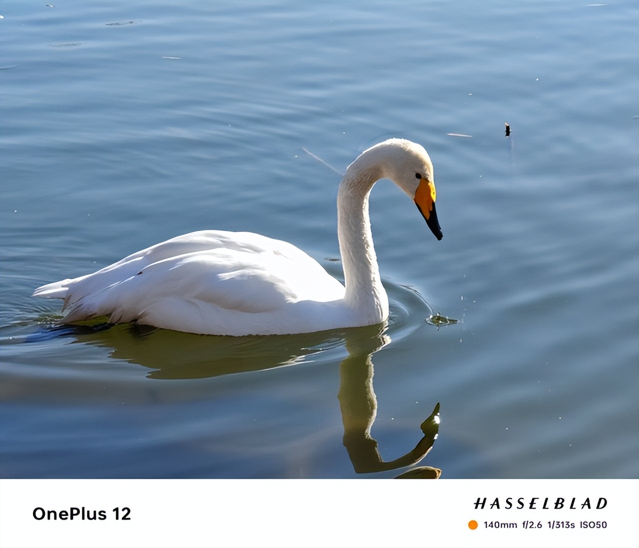 镜头成像质量_评测一加的摄影效果：从镜头到成像_成像评测效果摄影镜头加到多少