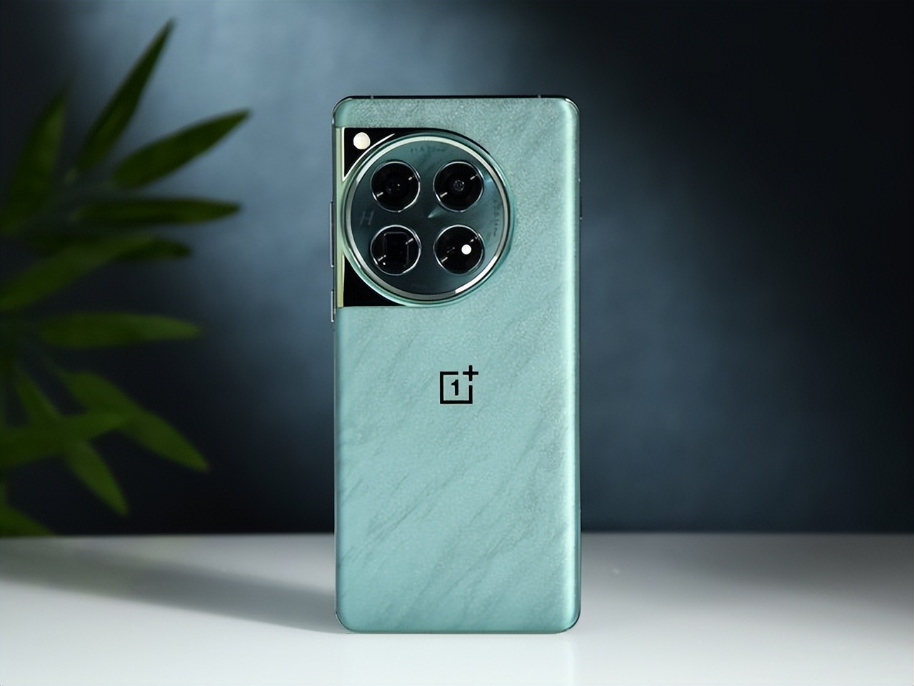 评测一加的摄影效果：从镜头到成像_镜头成像质量_成像评测效果摄影镜头加到多少