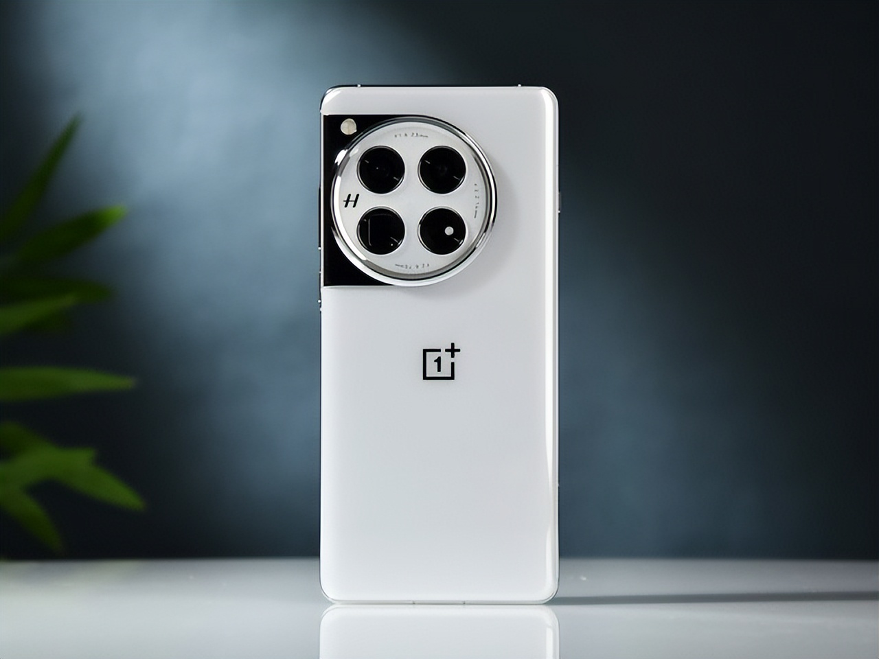 评测一加的摄影效果：从镜头到成像_成像评测效果摄影镜头加到多少_镜头成像质量