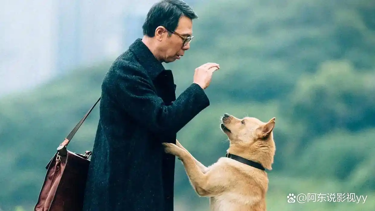 四大电影的演员阵容与角色搭配_电影演员阵容强大的_电影阵容角色搭配演员介绍