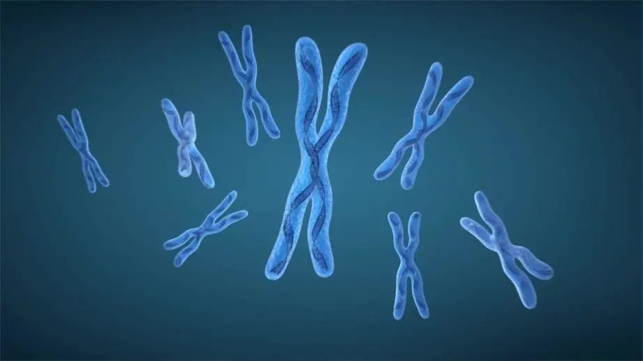 畅享属于什么系列_畅享系列百度百科_畅享系列如何成为入门用户的首选？