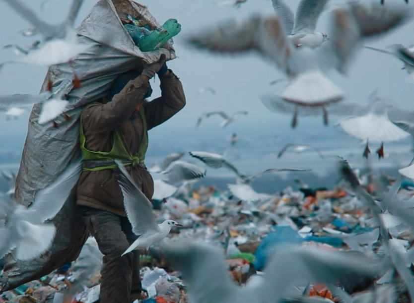 电影中的文化冲突_四大电影中的文化冲突与对话_电影冲突对叙事的影响