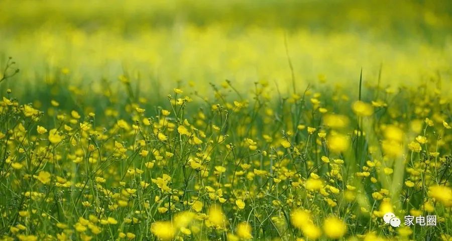 全方位服务：小米全屋智能助您家居无忧_全方位服务：小米全屋智能助您家居无忧_全方位服务：小米全屋智能助您家居无忧