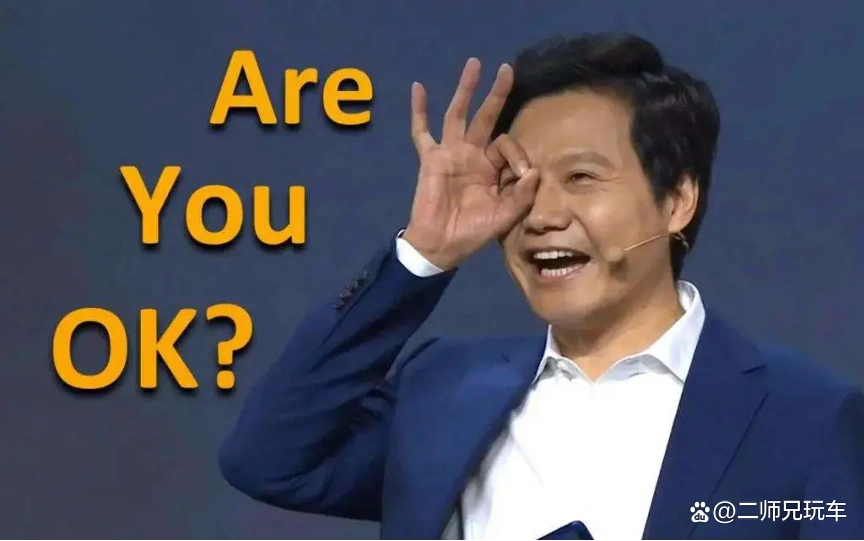 用户期待与现实：小米汽车的优秀表现_小米汽车目标_小米出新汽车