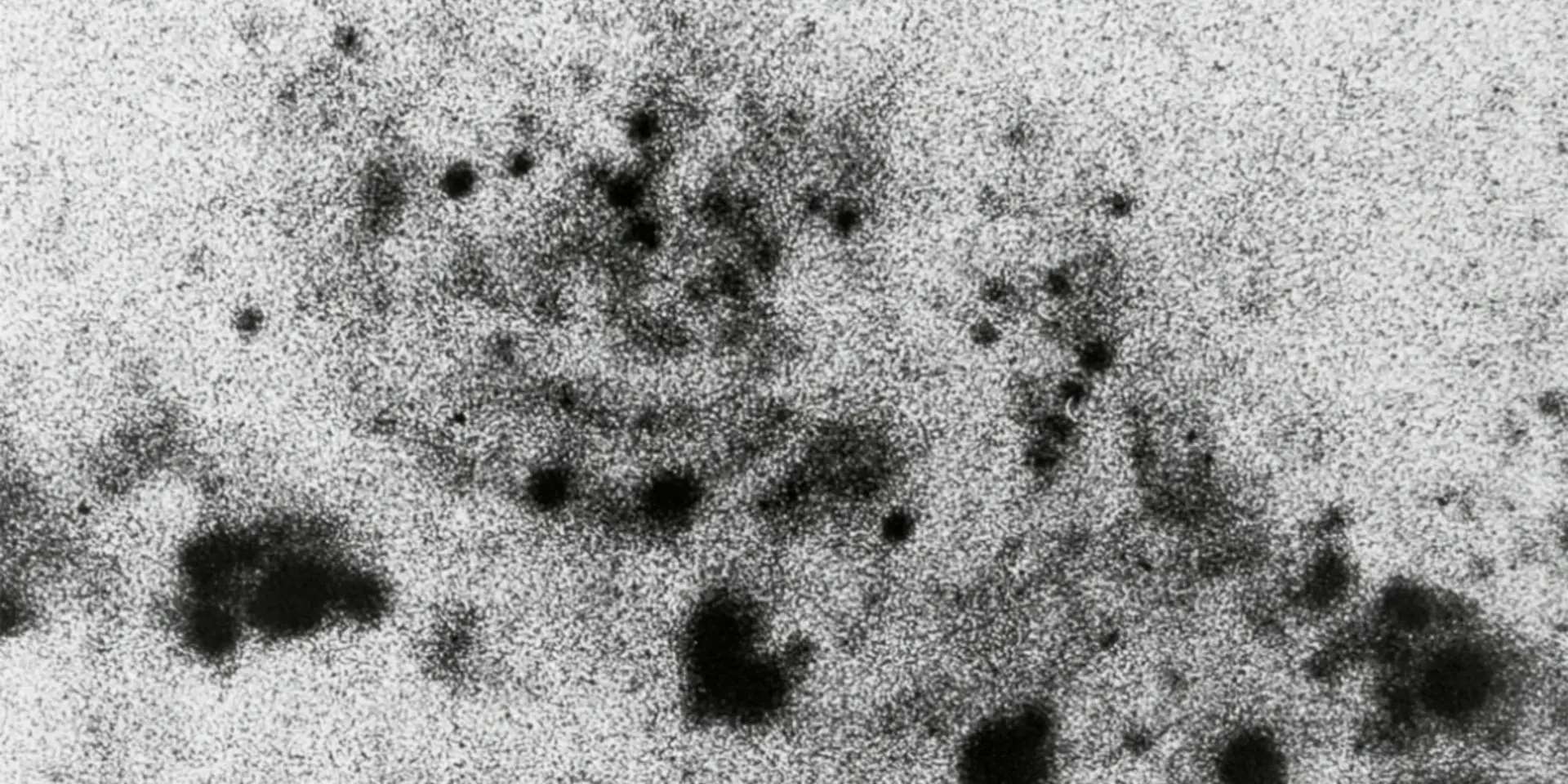 参与BNB币的社区治理：如何影响决策与发展方向_决策币有什么用_决策币怎么玩