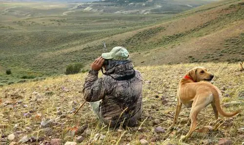 项羽战术_项羽用什么武器作战_项羽的军事装备与作战方法