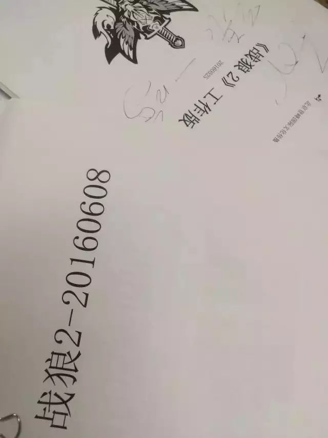 吴京的经典武打场景与细节分析_吴京的武打视频_播放吴京的武打电影