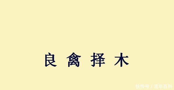 吕布英雄三国对比战法_吕布与三国其他英雄的对比_吕布与三国