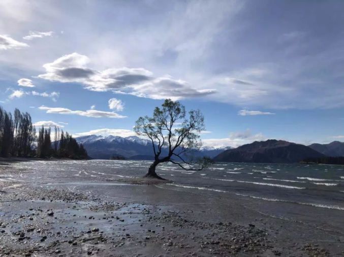 华夏收益宝货币b收益_虚拟货币与传统投资工具的对比：分析各类资产的风险与收益特征_嘉实货币070008收益