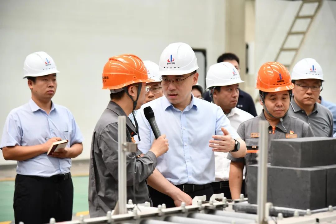 王智_智王桑珠_智王桑珠简介