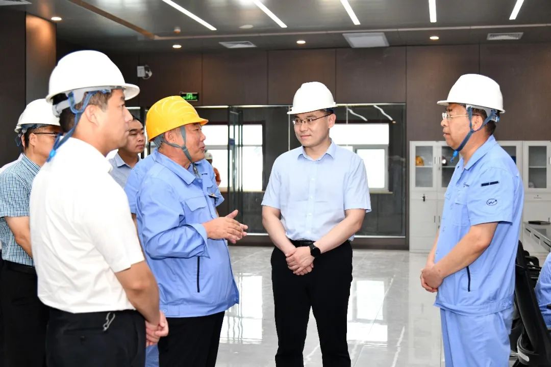 智王桑珠简介_智王桑珠_王智