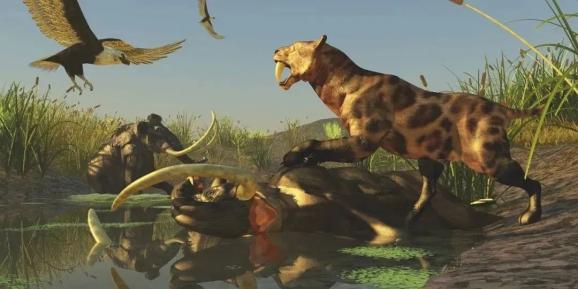 杭州崛起改变浙江格局_bat格局改变_黄峥如何改变了中国电商格局