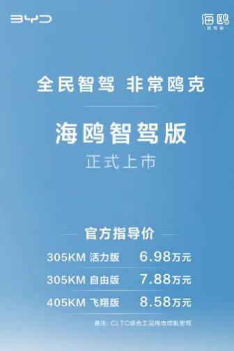 海鸥比亚迪_你了解比亚迪海鸥的智能化配置吗？_海鸥智能科技