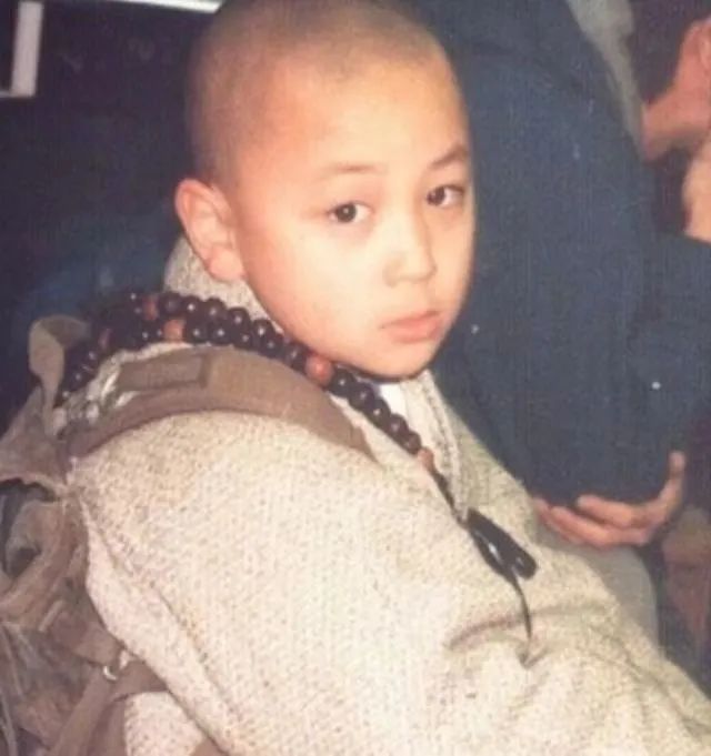 甄子丹的体育运动与生活热情_甄子丹锻炼身体_甄子丹运动员