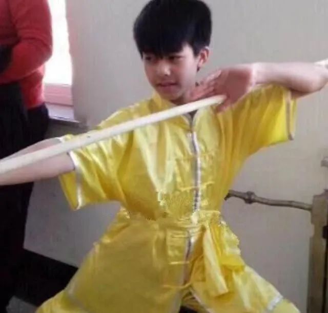 甄子丹运动员_甄子丹锻炼身体_甄子丹的体育运动与生活热情