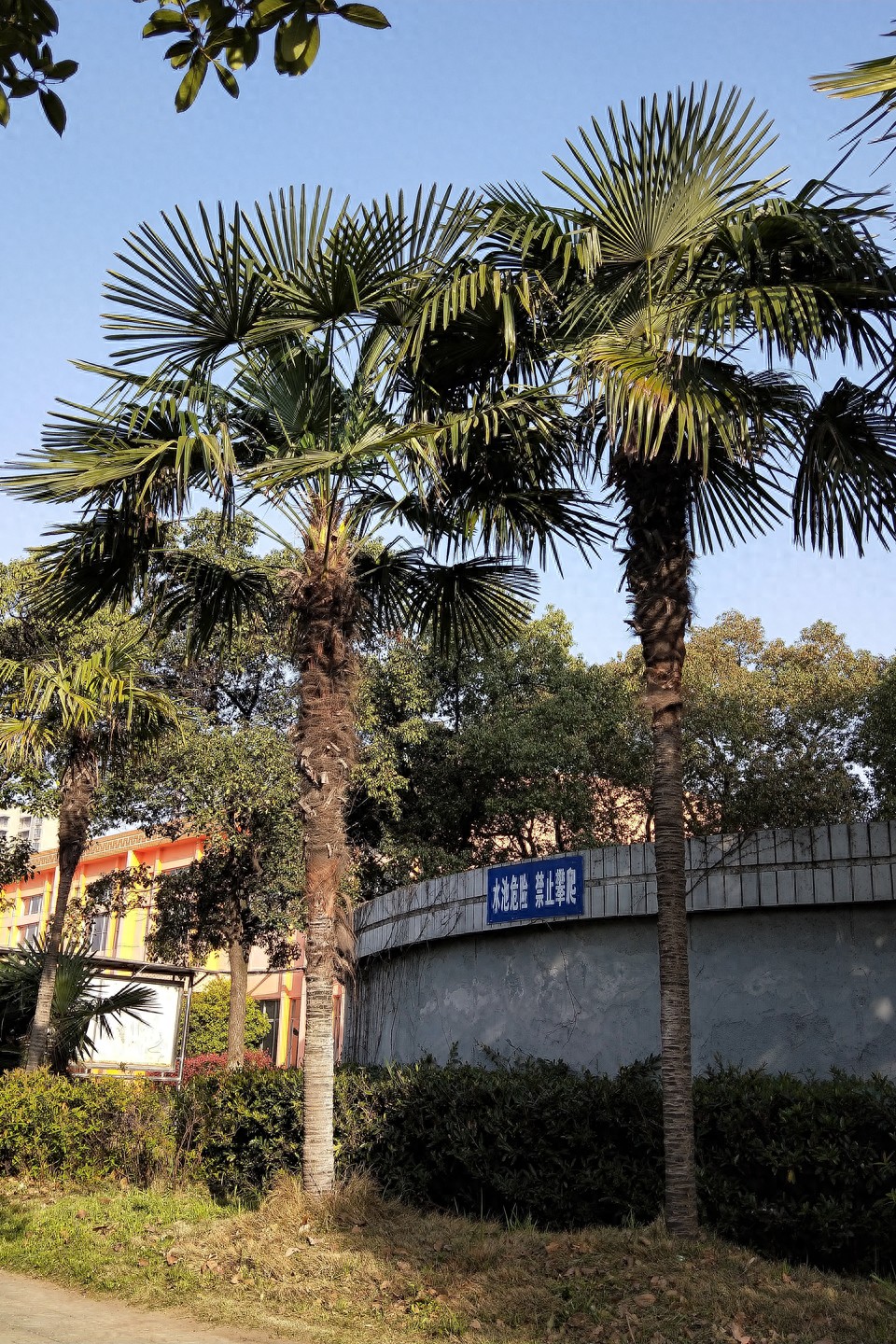 地毯拉力_地毯拉力测试_地毯拉伸