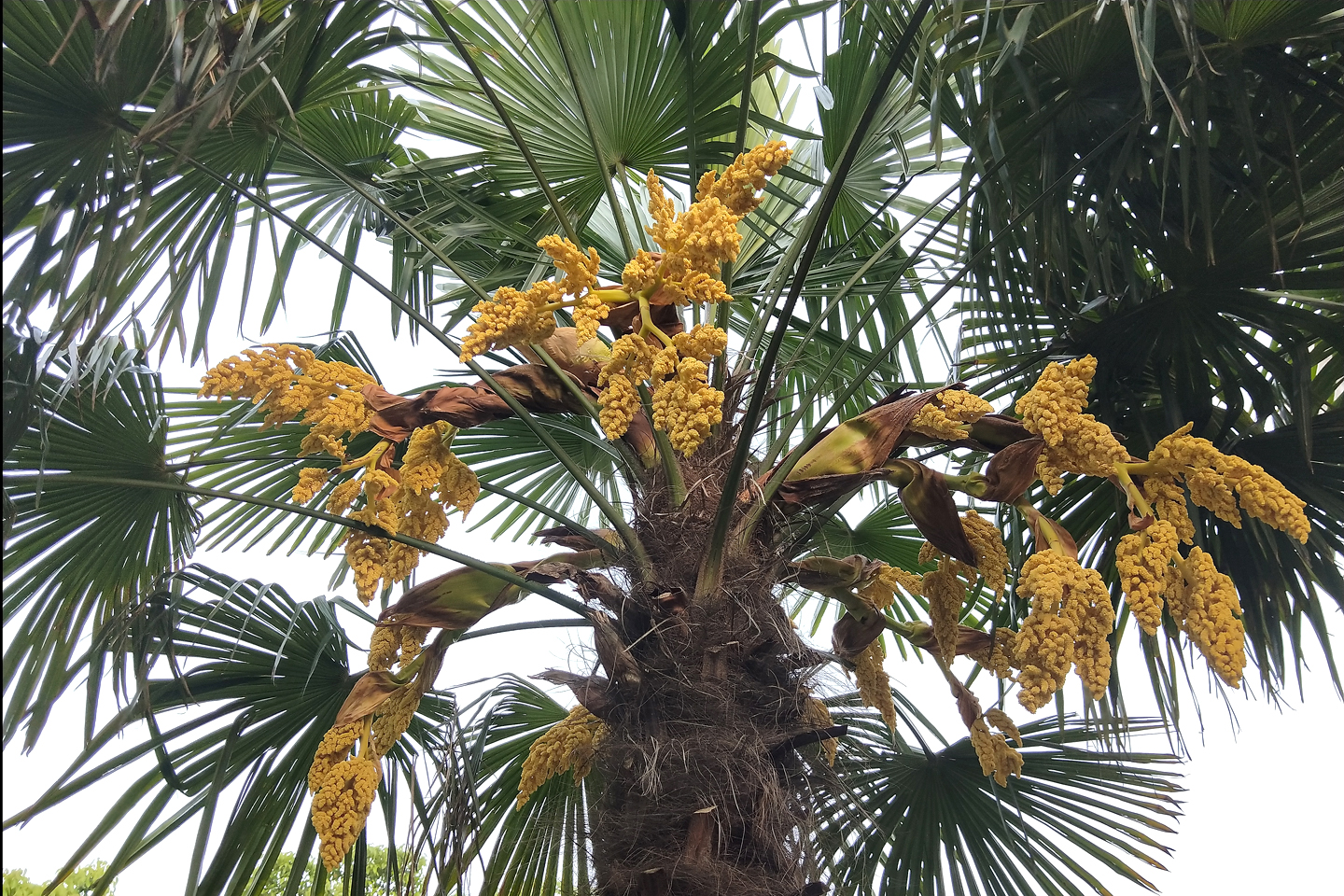 地毯拉力_地毯拉伸_地毯拉力测试