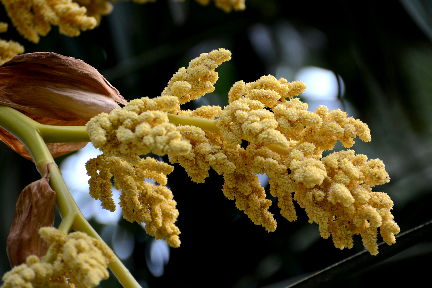 地毯拉力_地毯拉力测试_地毯拉伸