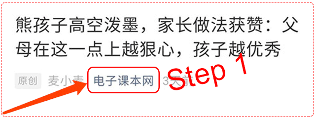 武术影张晋_张晋在影视中的武打技巧展示_张晋武打片