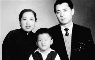 武术影张晋_张晋在影视中的武打技巧展示_张晋武打片