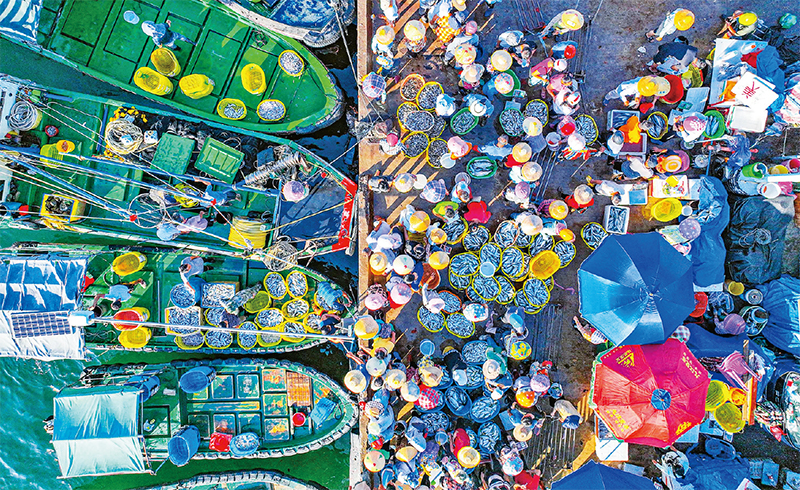 海南港澳资讯推荐股票_深入理解海南在琼港澳台经济合作中的关键举措与成果_海南港澳资讯是真的吗