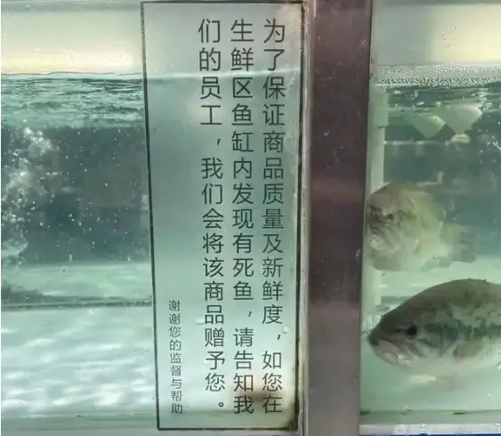 顾客的需求就是机会_商机客户的需求掌握_胖东来如何在顾客需求中发现商机？