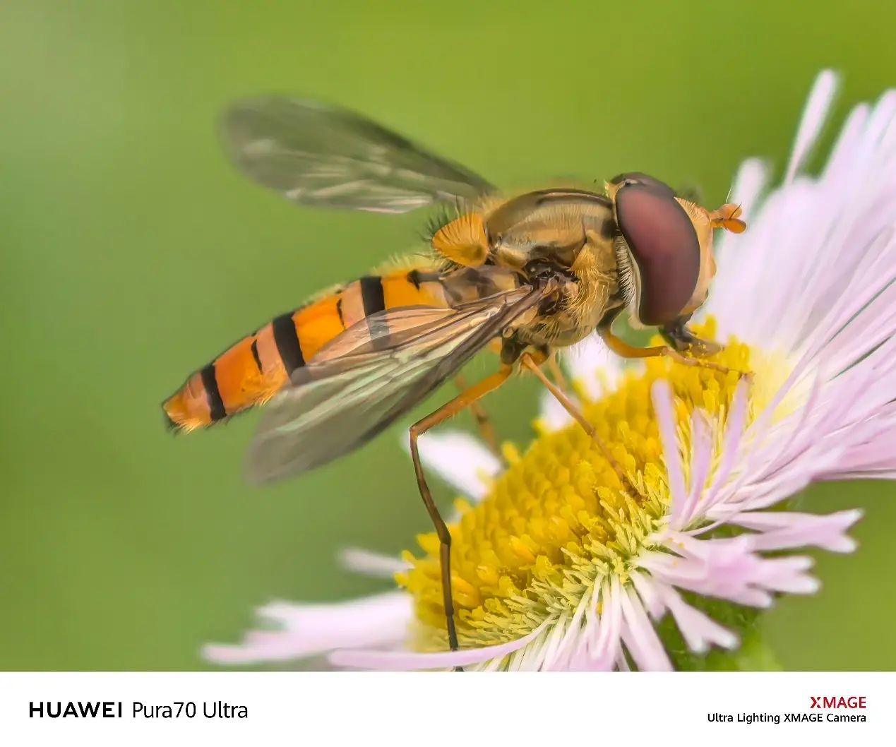 华为Pura系列：智能与美学的完美结合_华为Pura系列：智能与美学的完美结合_华为Pura系列：智能与美学的完美结合