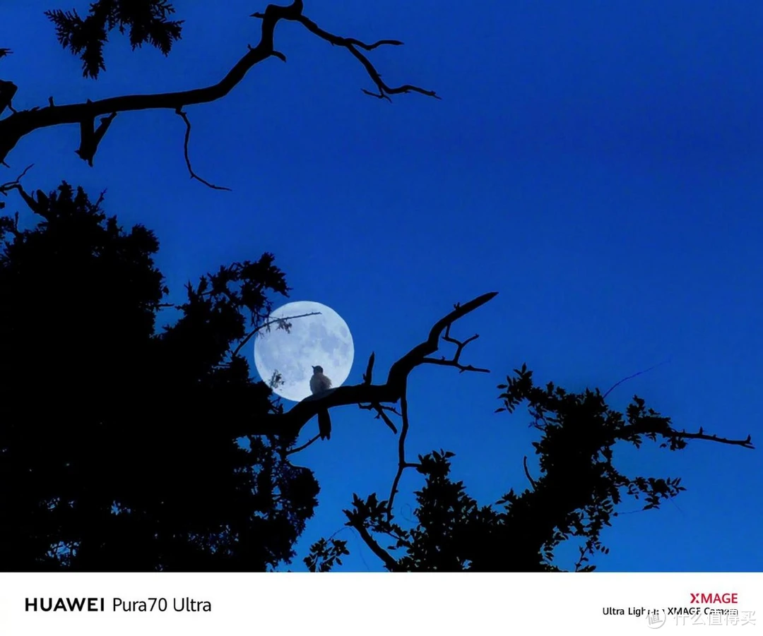 双十二享优惠入手华为Pura 70系列，体验原生鸿蒙独特优势