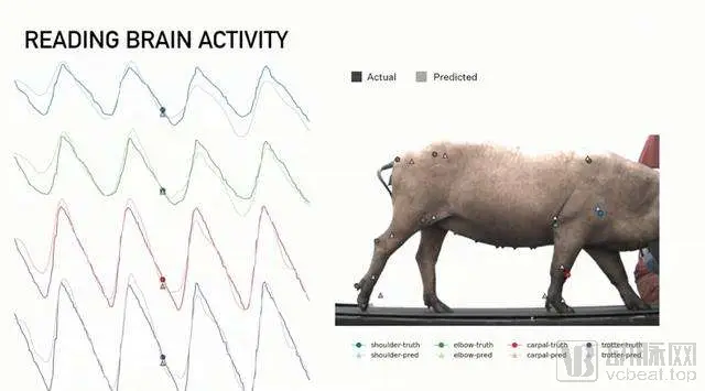 重大科技宣布：马斯克表示Neuralink计划在2025年为患者实施脑机设备植入_马斯克脑部芯片移植_马斯克人脑植入芯片