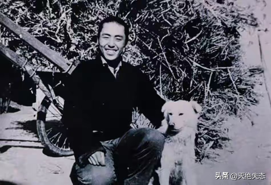 张艺谋老婆_张艺谋电影_张艺谋