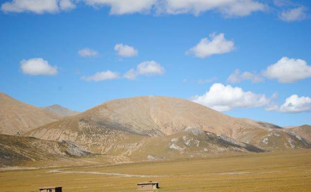 哲学态度思考利智生活的例子_利智的生活态度与哲学思考_论哲学智慧对生活的引领