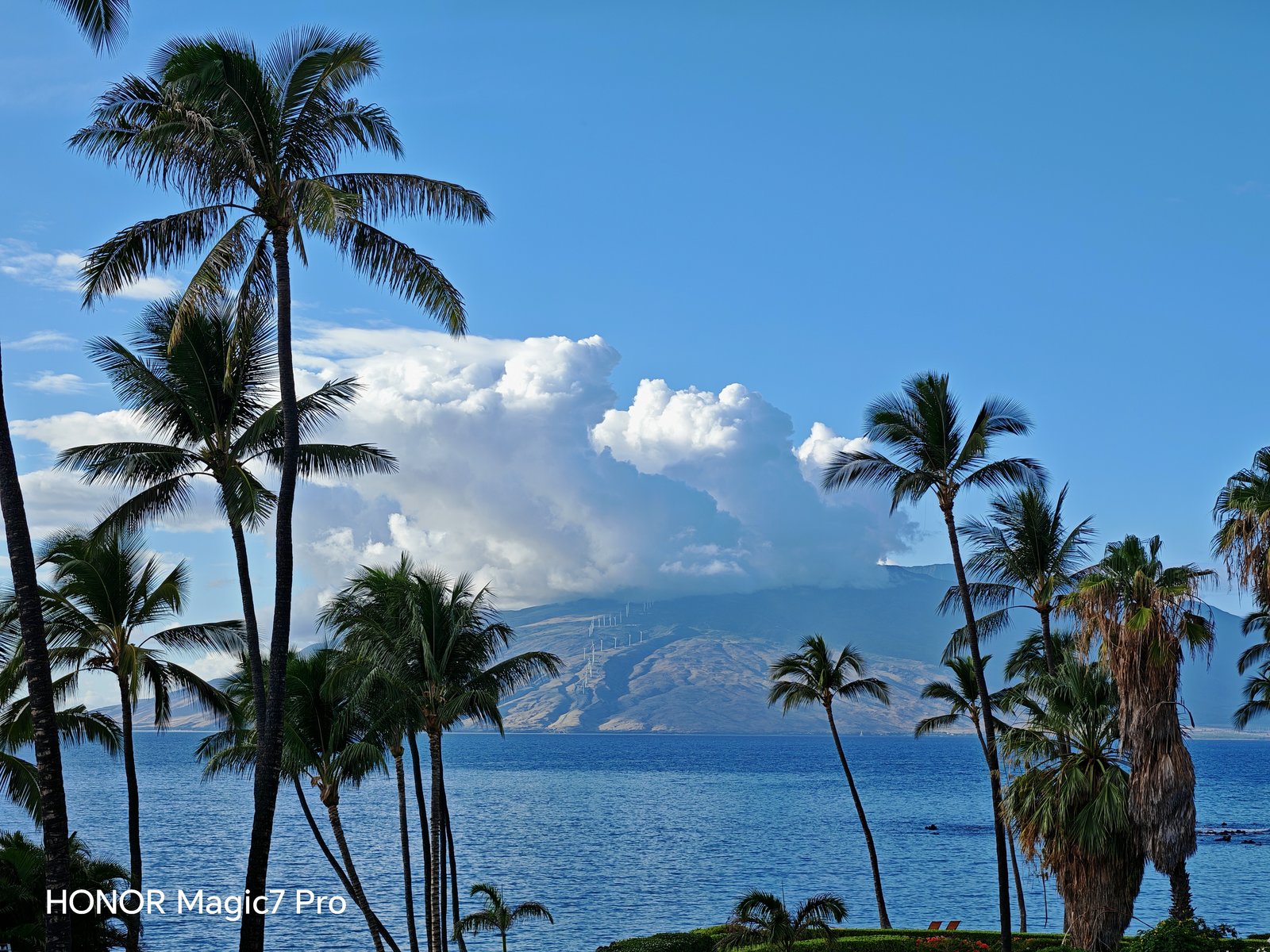 评测荣耀的拍照效果：从镜头到成像_荣耀摄像头模糊不清_荣耀手机摄像头拍照模糊怎么办