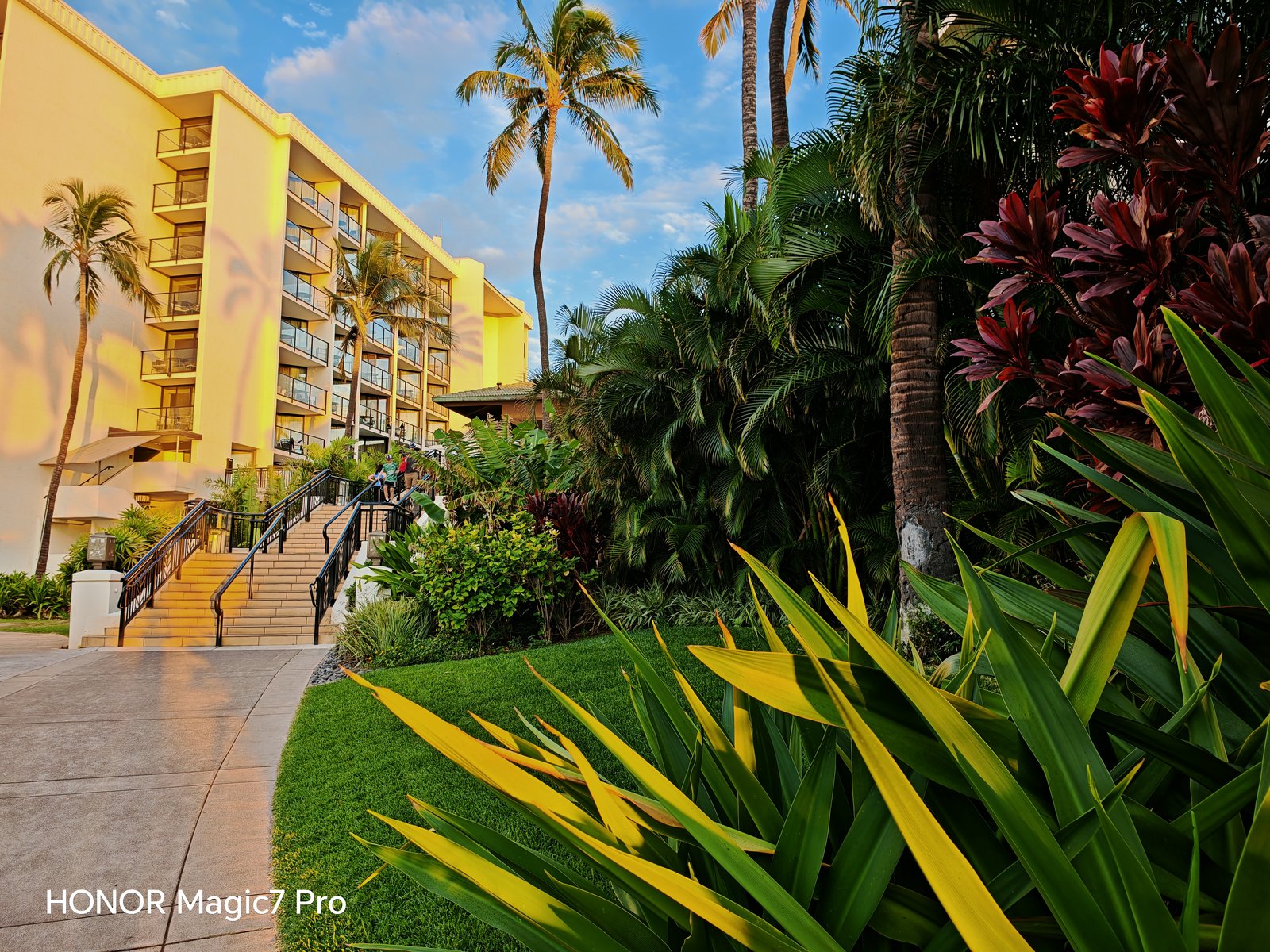 荣耀摄像头模糊不清_荣耀手机摄像头拍照模糊怎么办_评测荣耀的拍照效果：从镜头到成像