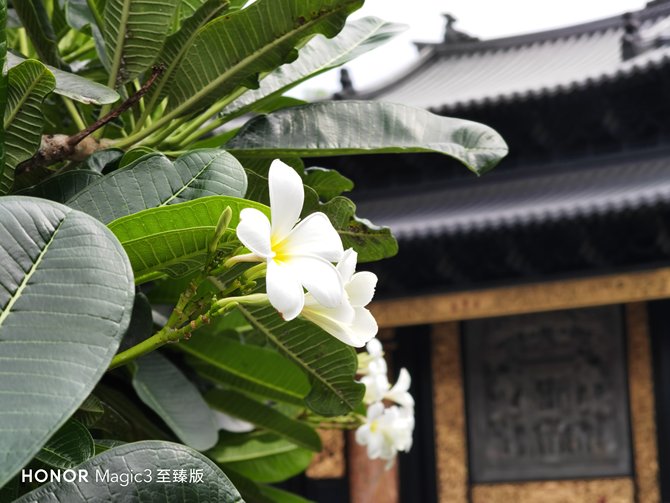 评测荣耀的拍照效果：从镜头到成像_荣耀手机镜头往后翻的是哪一款_荣耀手机摄像头拍照模糊怎么办