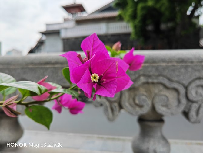 评测荣耀的拍照效果：从镜头到成像_荣耀手机镜头往后翻的是哪一款_荣耀手机摄像头拍照模糊怎么办