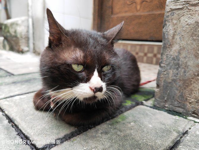 评测荣耀的拍照效果：从镜头到成像_荣耀手机摄像头拍照模糊怎么办_荣耀手机镜头往后翻的是哪一款