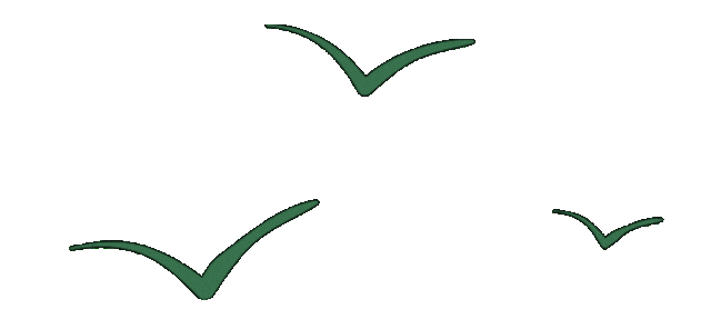 理解数字货币在社会变革中的作用：如何推动人权与公平公正_理解数字货币在社会变革中的作用：如何推动人权与公平公正_理解数字货币在社会变革中的作用：如何推动人权与公平公正