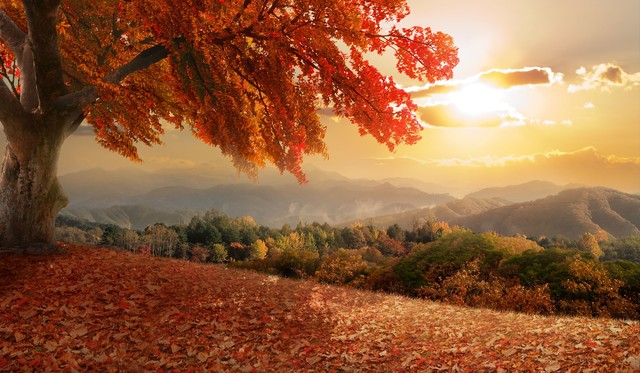 鬼谷子的军事战略思想_鬼谷子军事才能_鬼谷子兵法原文