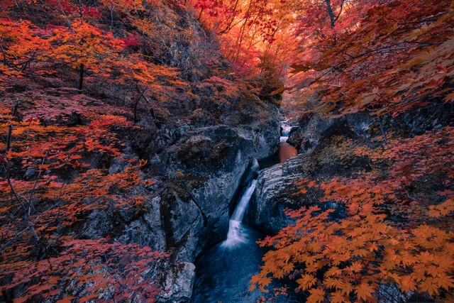 鬼谷子兵法原文_鬼谷子的军事战略思想_鬼谷子军事才能