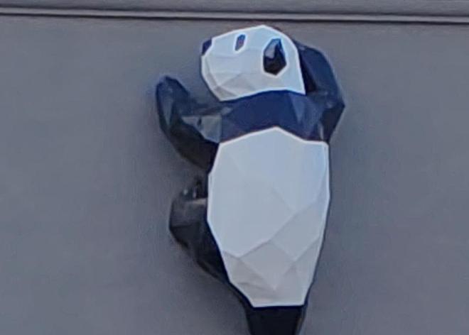 荣耀与传统相机的对比评测_荣耀哪个系列照相好_荣耀的相机是什么牌子