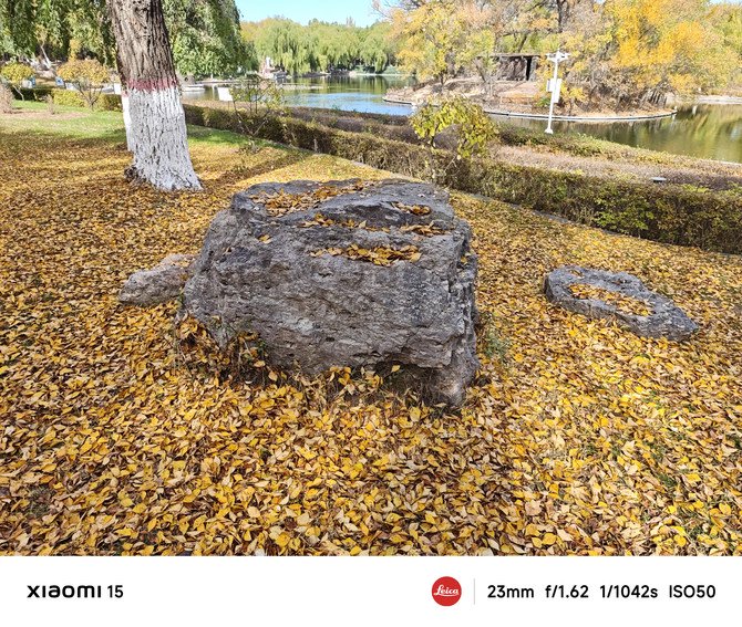 龙铠架构对小米14性能提升的影响_龙铠架构对小米14性能提升的影响_龙铠架构对小米14性能提升的影响