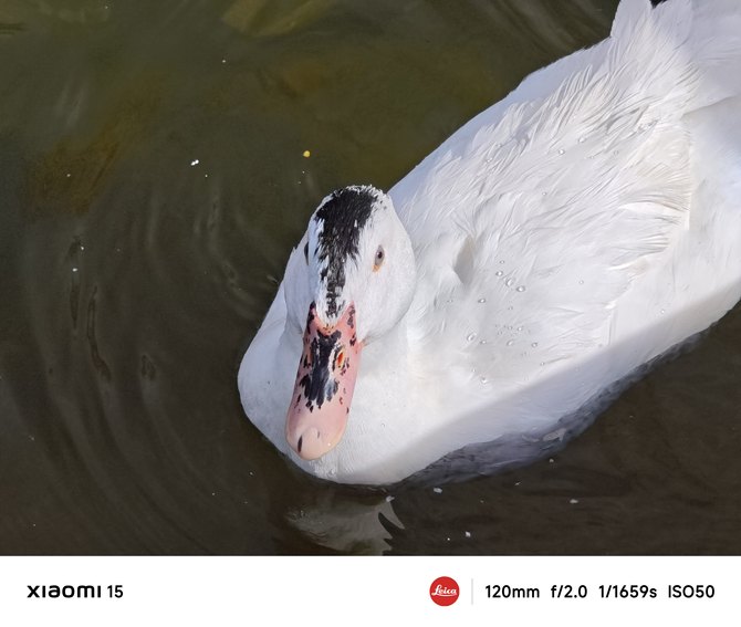 龙铠架构对小米14性能提升的影响_龙铠架构对小米14性能提升的影响_龙铠架构对小米14性能提升的影响