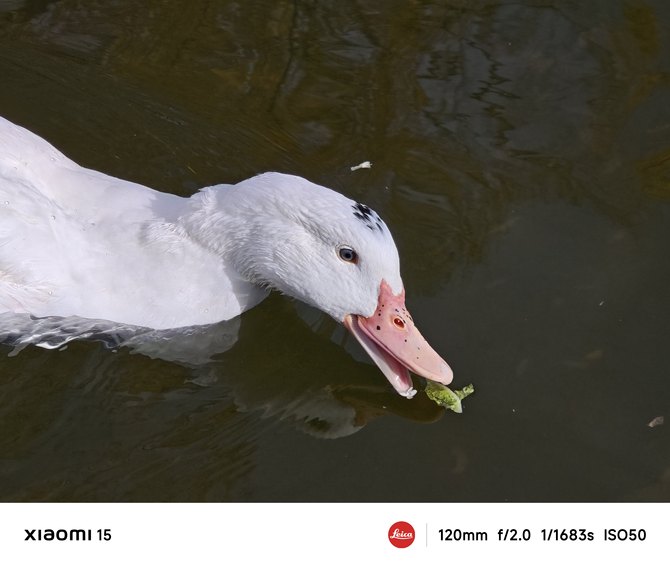 龙铠架构对小米14性能提升的影响_龙铠架构对小米14性能提升的影响_龙铠架构对小米14性能提升的影响