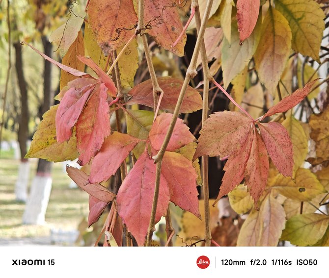 龙铠架构对小米14性能提升的影响_龙铠架构对小米14性能提升的影响_龙铠架构对小米14性能提升的影响